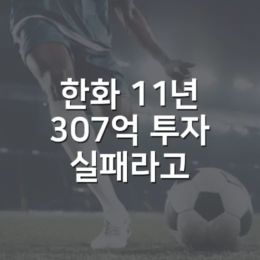한화 11년 307억 투자 실패라고 부르기 전에 숫자를 다시 세어봤더니 - 요약