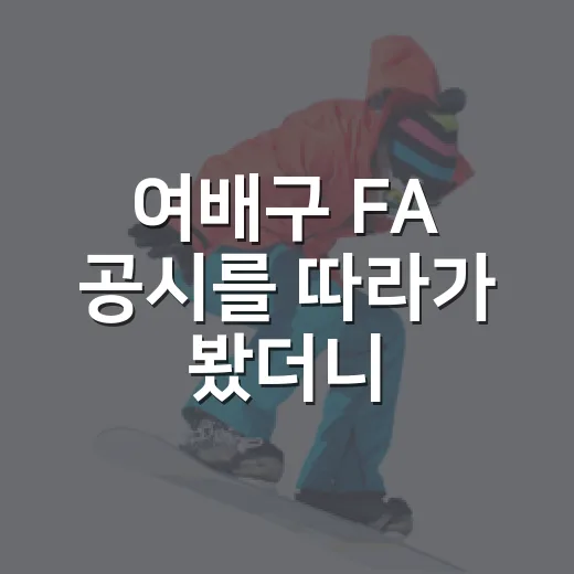 여배구 FA 공시를 따라가 봤더니, 현대건설은 진짜 큰손이었나 - 요약