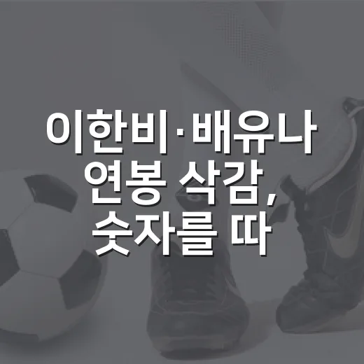 이한비·배유나 연봉 삭감, 숫자를 따라가 보니 보인 현대건설의 계산 - 요약