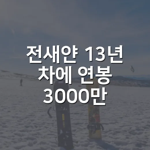 전새얀 13년 차에 연봉 3000만 원, 숫자만 보면 놓치는 진짜 이야기 - 요약