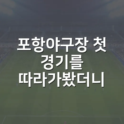 포항야구장 첫 경기를 따라가봤더니 숫자보다 진한 장면이 남았다 - 요약