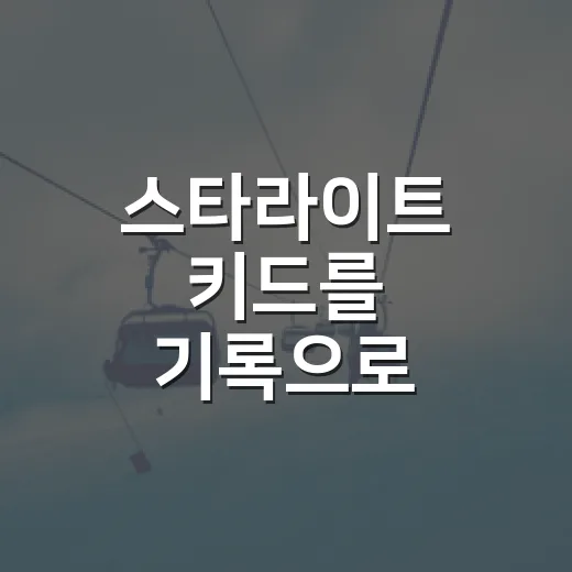 스타라이트 키드를 기록으로 따라가 봤더니, 150cm 안에 10년치 서사가 있었다 - 요약