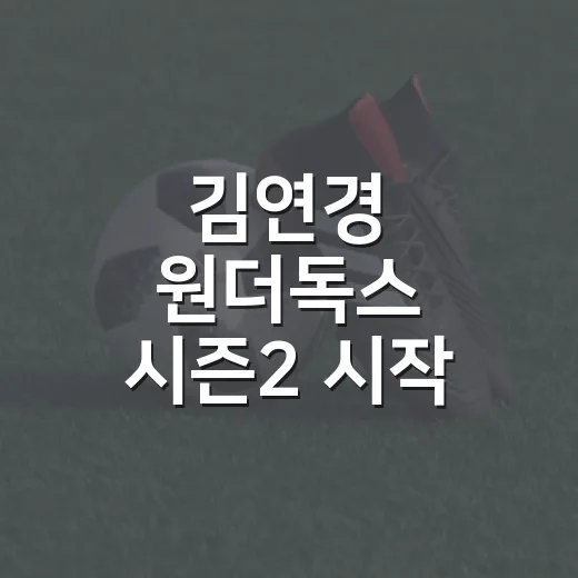 김연경 원더독스 시즌2 시작 소식 듣고 다시 본 언더독 배구의 진짜 힘 - 요약