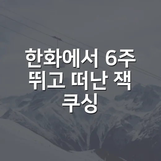 한화에서 6주 뛰고 떠난 잭 쿠싱, KBO 재취업 카드를 다시 꺼내보니 - 요약