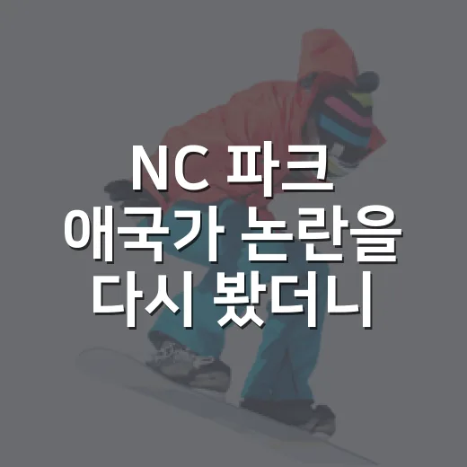 NC 파크 애국가 논란을 다시 봤더니, 엄지영 사과보다 더 크게 보인 장면 - 요약