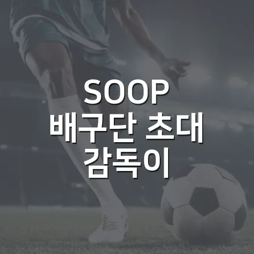 SOOP 배구단 초대 감독이 김세진이라는 소식, 기록으로 다시 보니 더 흥미롭다 - 요약