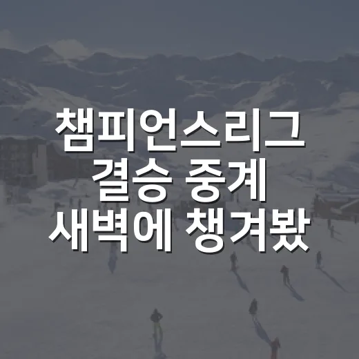 챔피언스리그 결승 중계 새벽에 챙겨봤더니 숫자가 먼저 말을 걸었다 - 요약