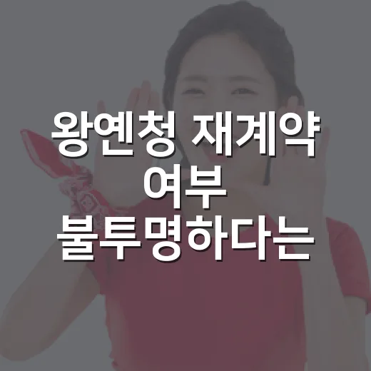 왕옌청 재계약 여부 불투명하다는 말이 나오는 이유를 기록으로 따라가봤더니 - 요약