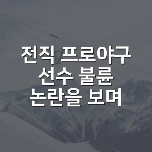 전직 프로야구 선수 불륜 논란을 보며 기록 팬이 먼저 확인한 것들 - 요약