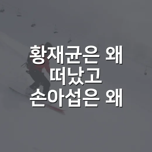 황재균은 왜 떠났고 손아섭은 왜 남고 또 떠났나, 롯데 팬이 숫자로 다시 본 선택의 이야기 - 요약