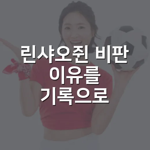 린샤오쥔 비판 이유를 기록으로 따라가봤더니 남는 찝찝함 - 요약