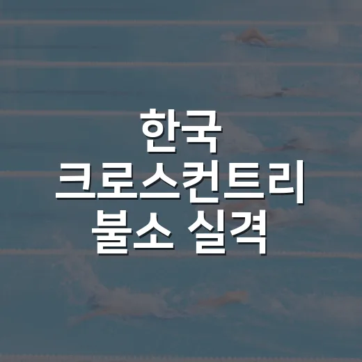 한국 크로스컨트리 불소 실격 논란, 기록표에서 사라진 두 레이스의 진짜 이야기 - 요약
