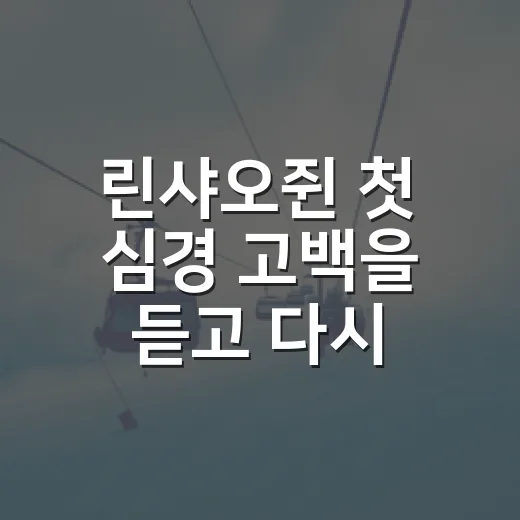 린샤오쥔 첫 심경 고백을 듣고 다시 보인 8년의 빙판 이야기 - 요약