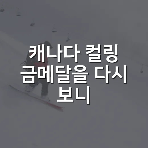 캐나다 컬링 금메달을 다시 보니, 이중터치 논란이 더 오래 남았다 - 요약