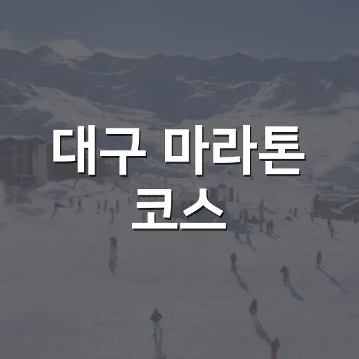 대구 마라톤 코스, 기록 욕심 내고 직접 뛰는 마음으로 읽어봤더니 - 요약