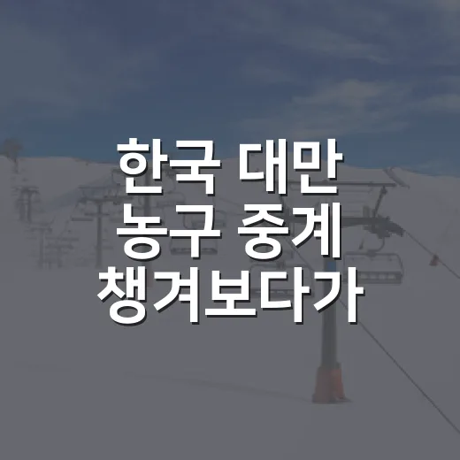 한국 대만 농구 중계 챙겨보다가 기록까지 다시 보게 된 진짜 이유 - 요약
