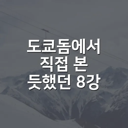 도쿄돔에서 직접 본 듯했던 8강 확정의 진짜 이야기 - 요약