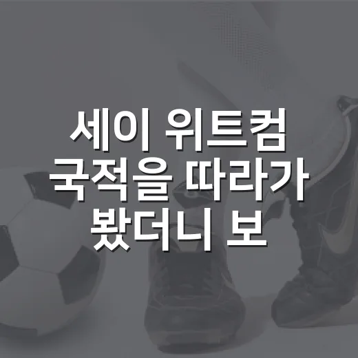 세이 위트컴 국적을 따라가 봤더니 보인 미국 출생 호주 대표의 진짜 이야기 - 요약