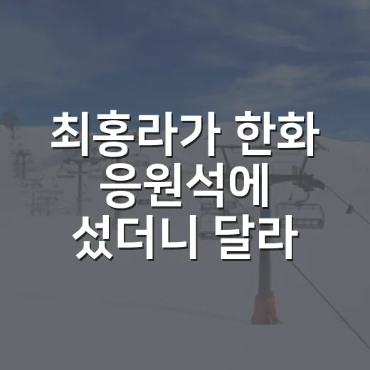 최홍라가 한화 응원석에 섰더니 달라 보인 장면들 - 요약