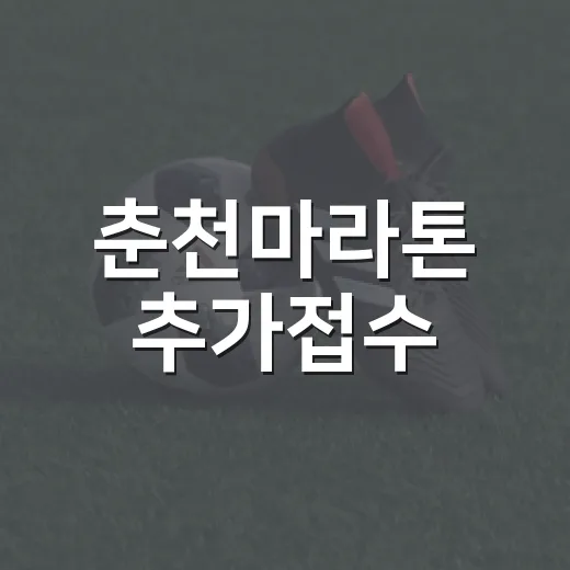 춘천마라톤 추가접수, 놓친 줄 알았던 표가 다시 열린 진짜 이야기 - 요약