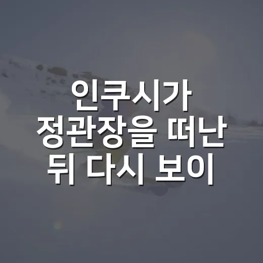 인쿠시가 정관장을 떠난 뒤 다시 보이는 짧았던 동행의 진짜 이야기 - 요약