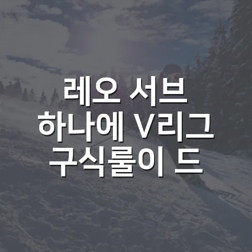 레오 서브 하나에 V리그 구식룰이 드러난 날의 진짜 이야기 - 요약