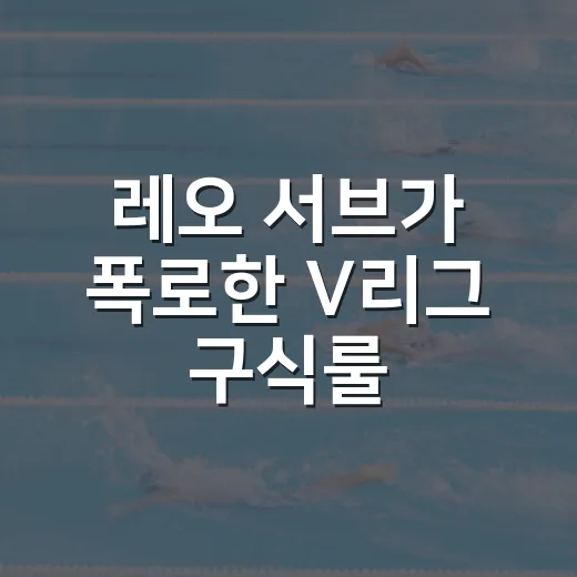 레오 서브가 폭로한 V리그 구식룰, 1mm보다 무거웠던 그 한 점 - 요약