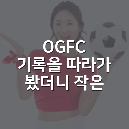 OGFC 기록을 따라가 봤더니 작은 클럽 축구의 온도가 보였다 - 요약