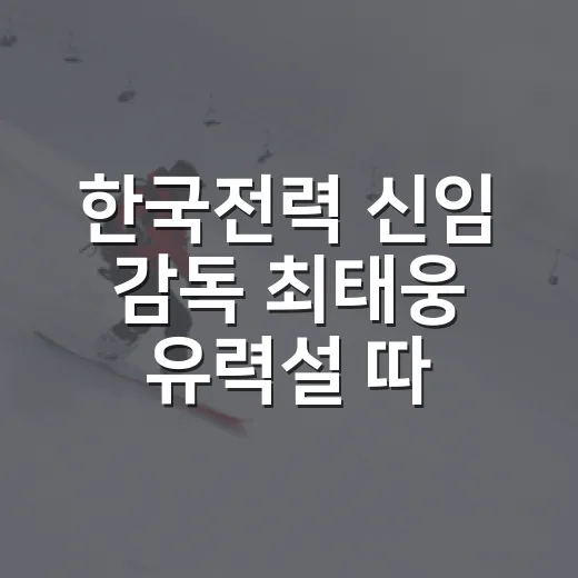 한국전력 신임 감독 최태웅 유력설 따라가 봤더니, 숫자는 다른 이름을 말했다 - 요약