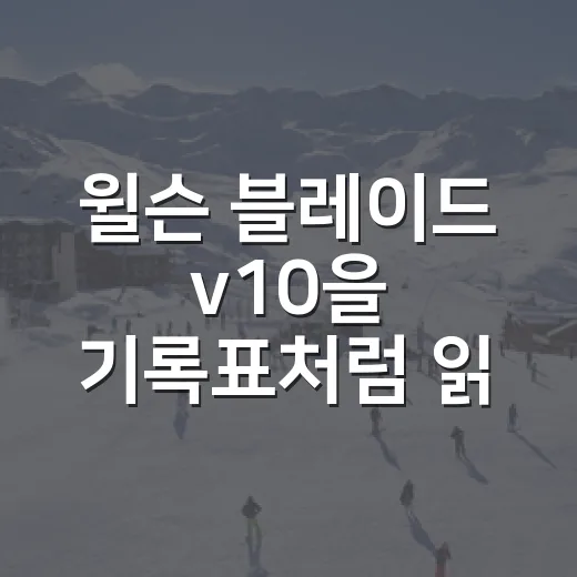 윌슨 블레이드 v10을 기록표처럼 읽어봤더니 보이는 진짜 변화 - 요약