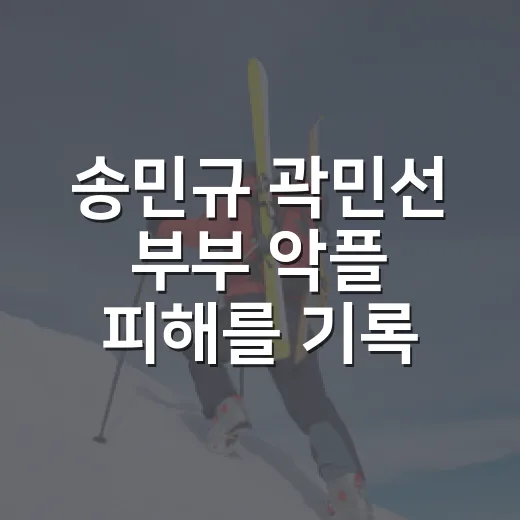송민규 곽민선 부부 악플 피해를 기록으로 따라가봤더니, 팬심의 선이 보였다 - 요약