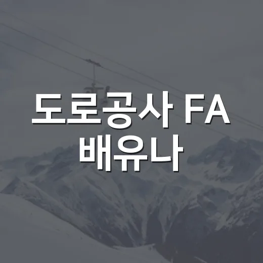 도로공사 FA 배유나·문정원 행선지 따라가봤더니, 같은 잔류가 아니었다 - 요약