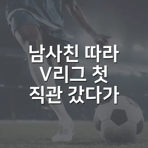 남사친 따라 V리그 첫 직관 갔다가 팬덤의 속도를 직접 맞아본 이야기 - 요약