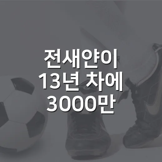 전새얀이 13년 차에 3000만 원을 받아들인 날, 숫자 뒤에 남은 이야기 - 요약
