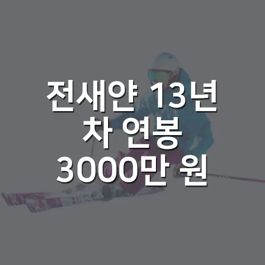 전새얀 13년 차 연봉 3000만 원을 기록으로 따라가봤더니 - 요약