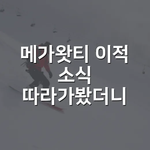 메가왓티 이적 소식 따라가봤더니, 여자배구 아시아쿼터 위기가 보였다 - 요약