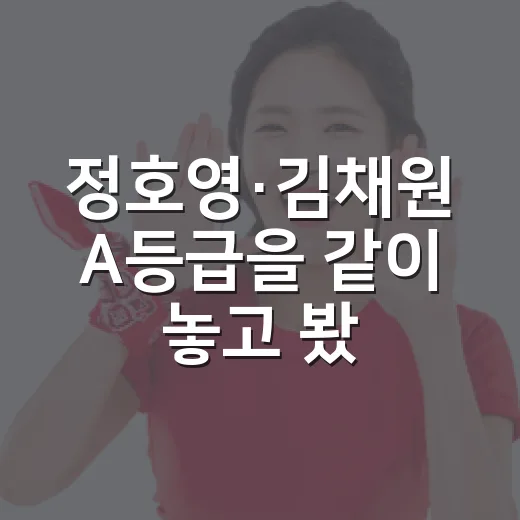 정호영·김채원 A등급을 같이 놓고 봤더니, 논란의 방향이 달라졌다 - 요약