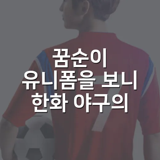 꿈순이 유니폼을 보니 한화 야구의 분위기가 숫자로 보였다 - 요약