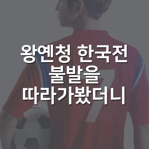 왕옌청 한국전 불발을 따라가봤더니, 한화와 차출 조건 있었다는 말의 무게 - 요약