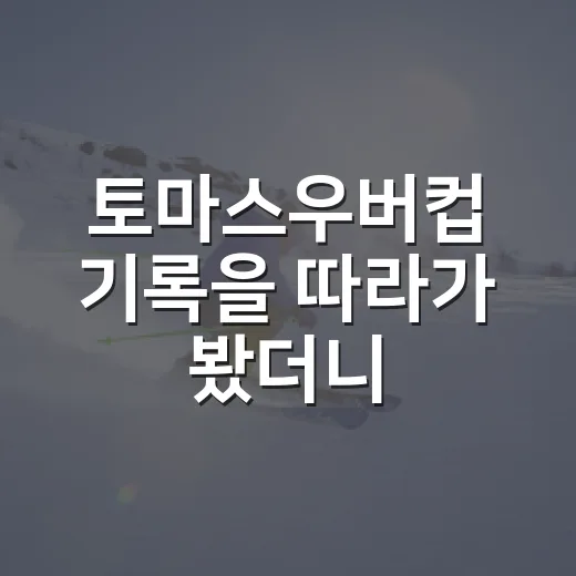 토마스우버컵 기록을 따라가 봤더니, 단체전 배드민턴의 판이 보였다 - 요약