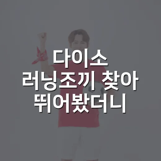 다이소 러닝조끼 찾아 뛰어봤더니, 5km 러너에게 보인 진짜 가치 - 요약