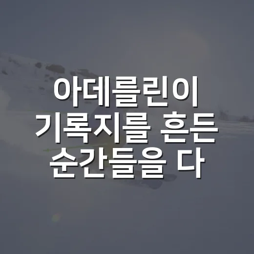 아데를린이 기록지를 흔든 순간들을 다시 봤더니 - 요약