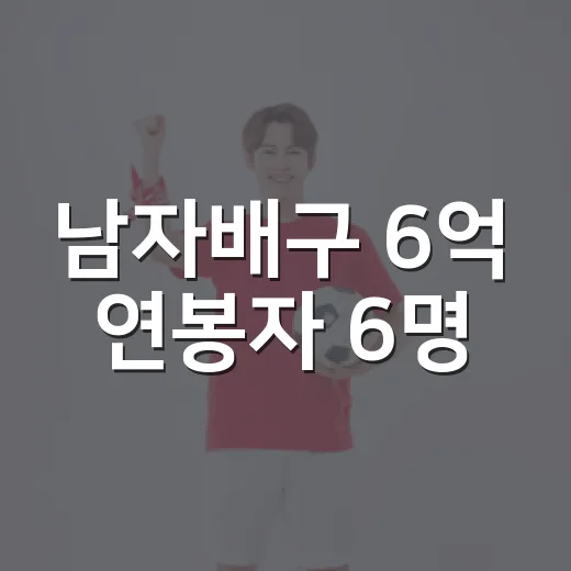남자배구 6억 연봉자 6명, 같은 금액인데 전혀 다른 이야기 - 요약