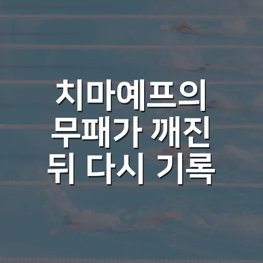치마예프의 무패가 깨진 뒤 다시 기록을 봤더니 보인 진짜 이야기 - 요약