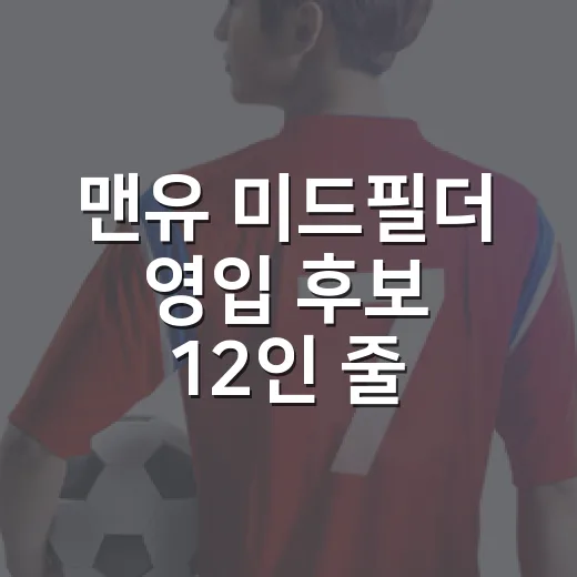 맨유 미드필더 영입 후보 12인 줄 세워봤더니, 진짜 문제는 이름값이 아니었다 - 요약