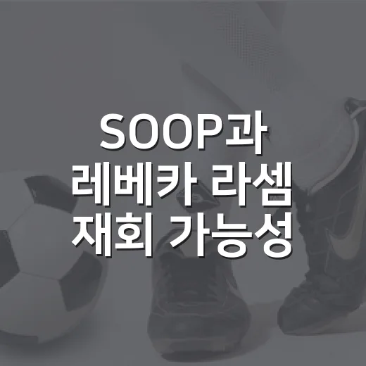 SOOP과 레베카 라셈 재회 가능성, 기록을 따라가봤더니 꽤 복잡했다 - 요약