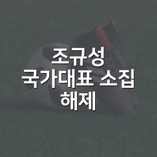 조규성 국가대표 소집 해제, 기록을 따라가 보니 더 아쉬웠던 이야기 - 요약