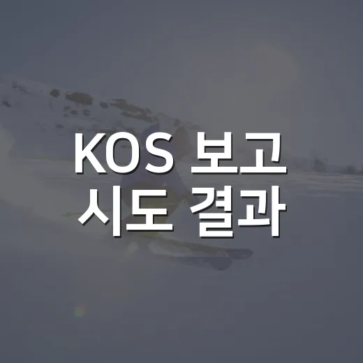 KOS 보고 시도 결과 - 요약