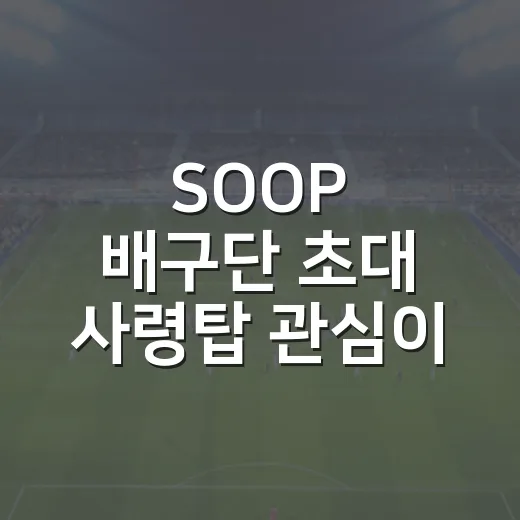 SOOP 배구단 초대 사령탑 관심이 커진 이유, 김세진의 숫자를 따라가봤더니 - 요약