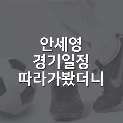 안세영 경기일정 따라가봤더니, 숫자보다 먼저 보이는 흐름 - 요약